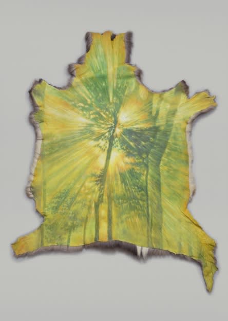 JANG JONGWAN, WEIRD LIGHT, 2016