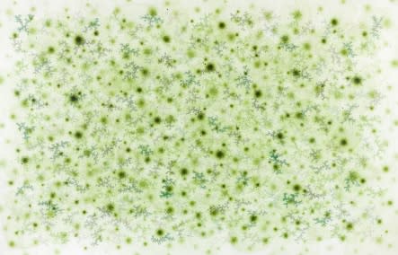 LEE Kangwook: Abstract Color and Gesture