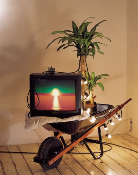 MATHEW MCCASLIN, EXPANDING FIELD OF VIEW, 2003