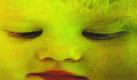 CI KIM, CIK00750, 2004