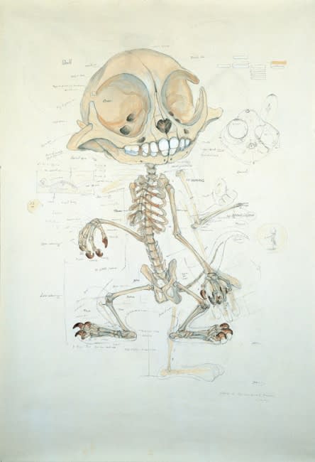 LEE HYUNGKOO, A10, 2005