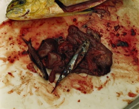 ROE ETHRIDGE, FISH GUTS, 2004