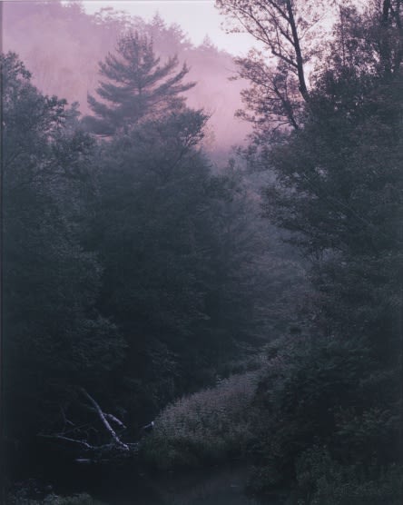 ROE ETHRIDGE, R'VILLE, 2005