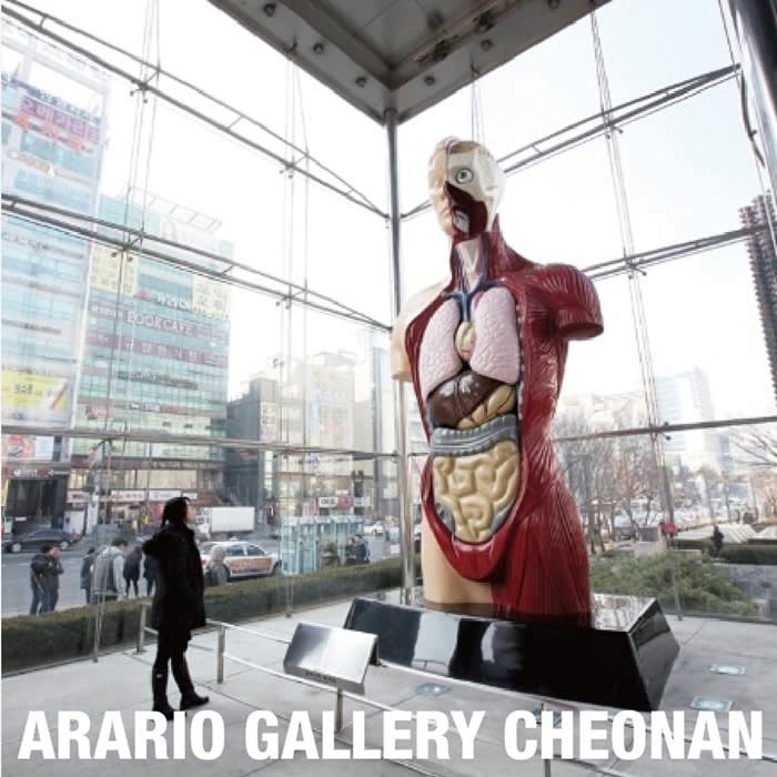 Collection Consulting