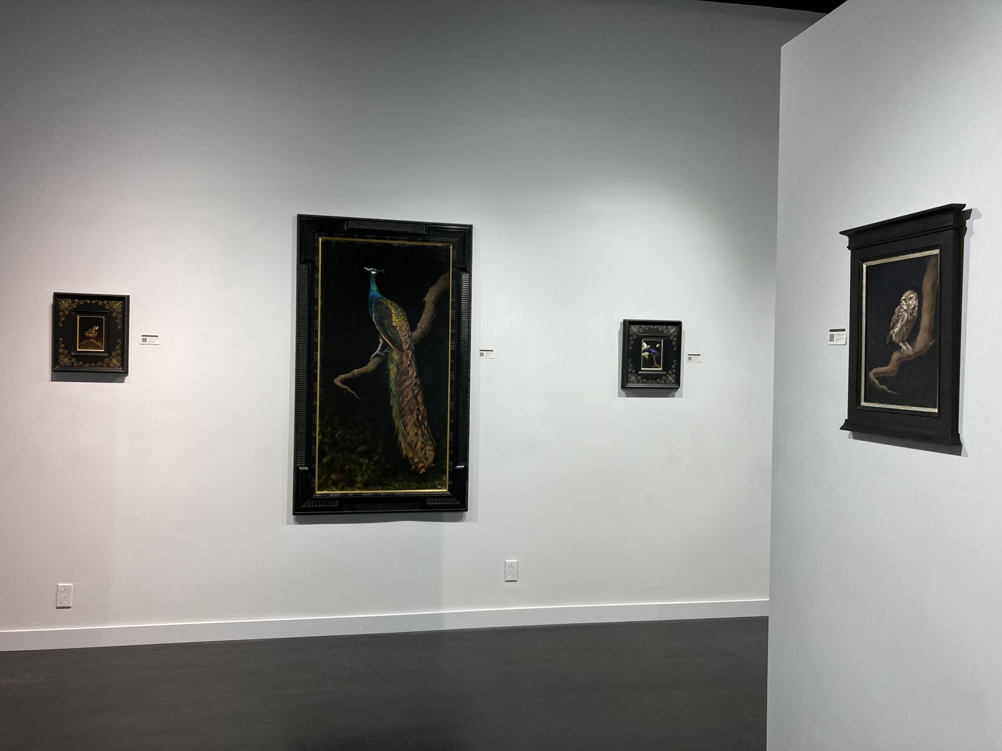 Spotlight Exhibition