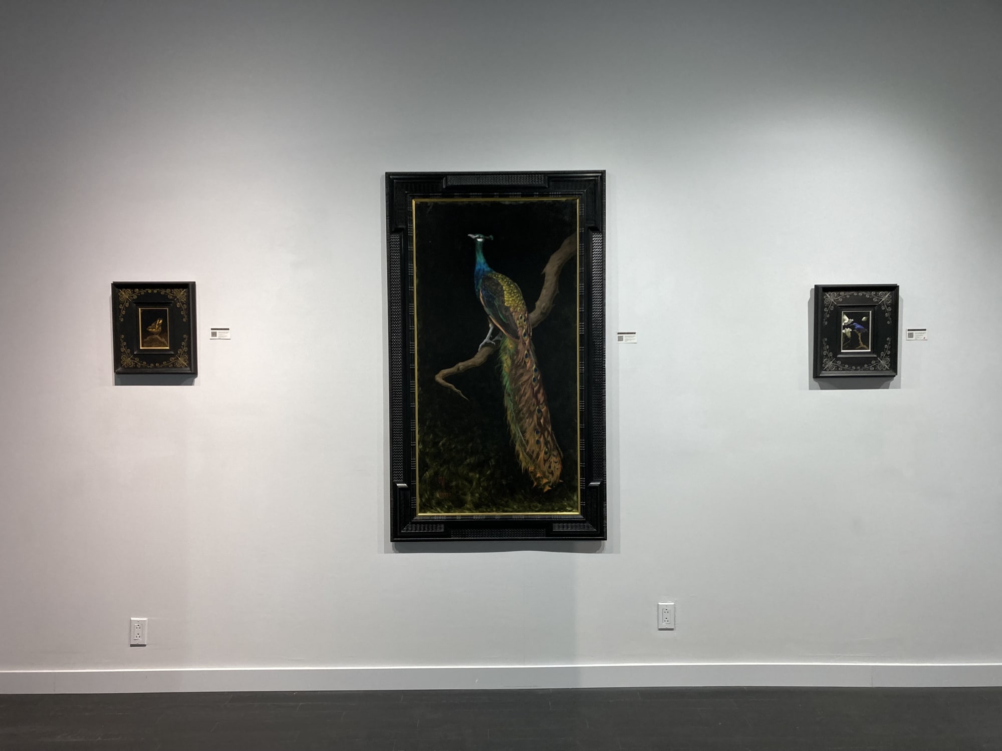 Spotlight Exhibition