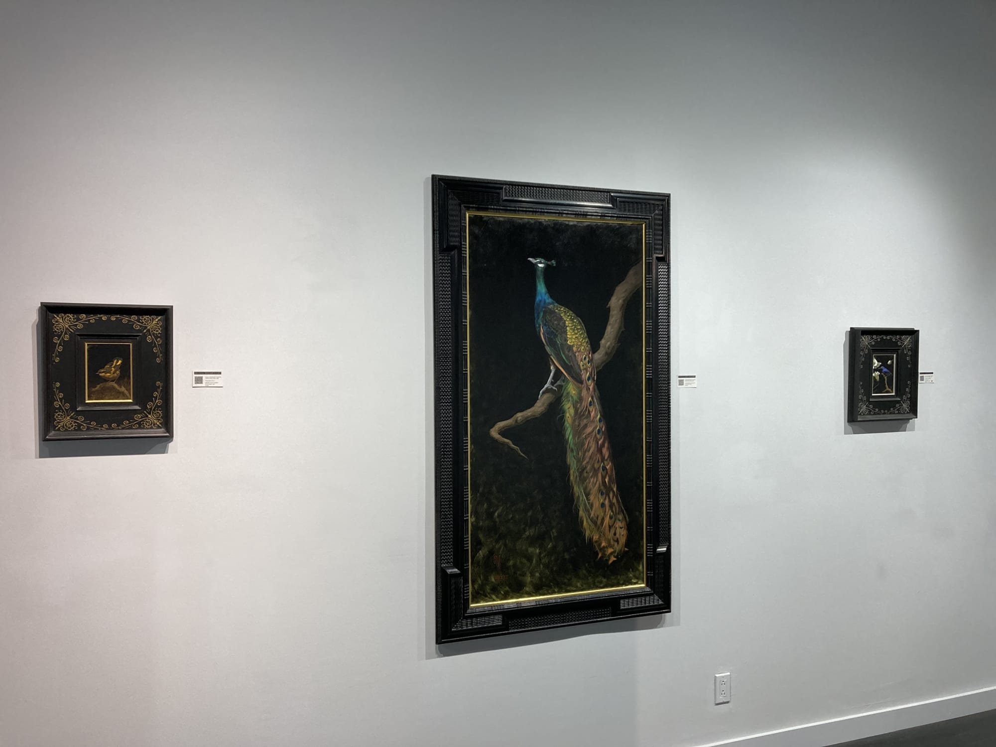 Spotlight Exhibition