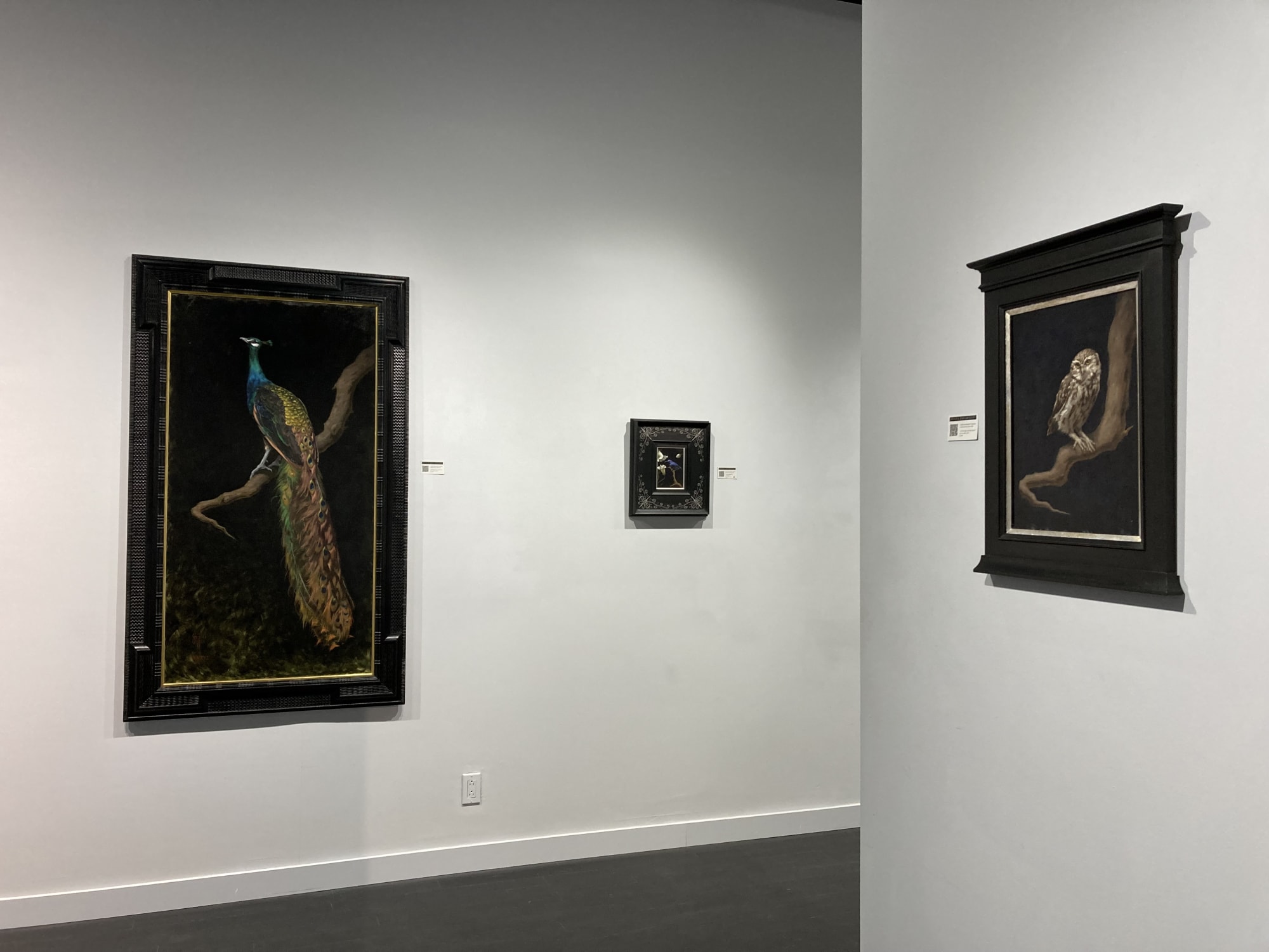 Spotlight Exhibition