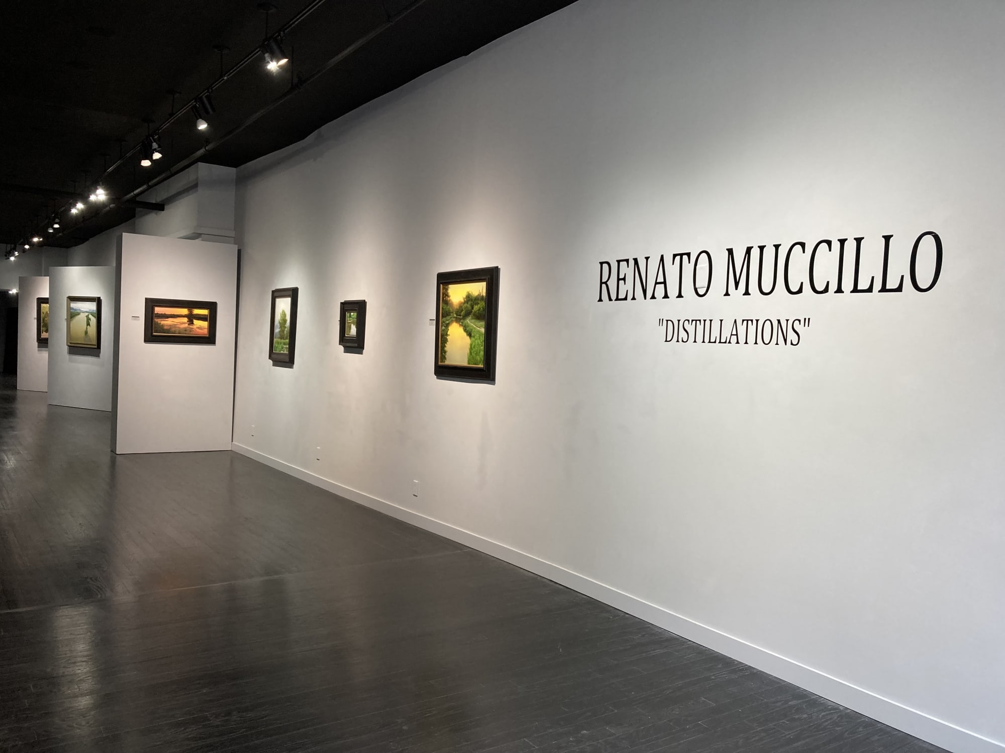 Renato Muccillo