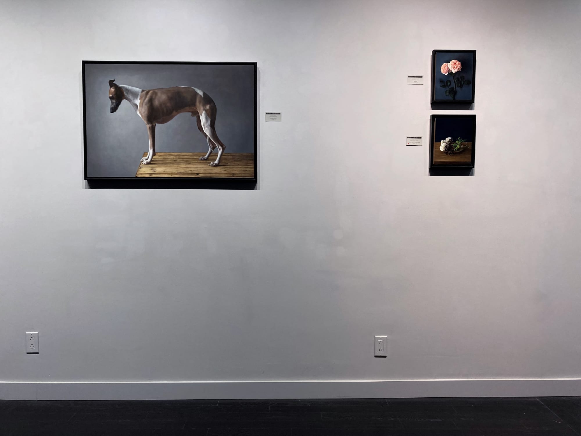 Spotlight Exhibition