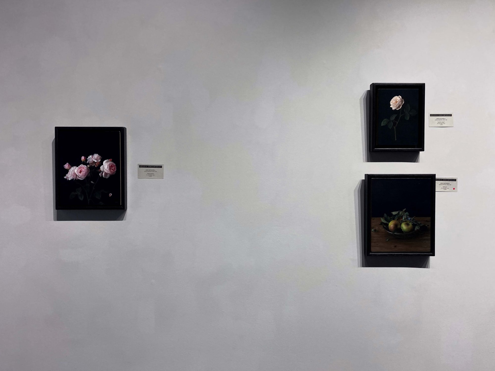 Spotlight Exhibition