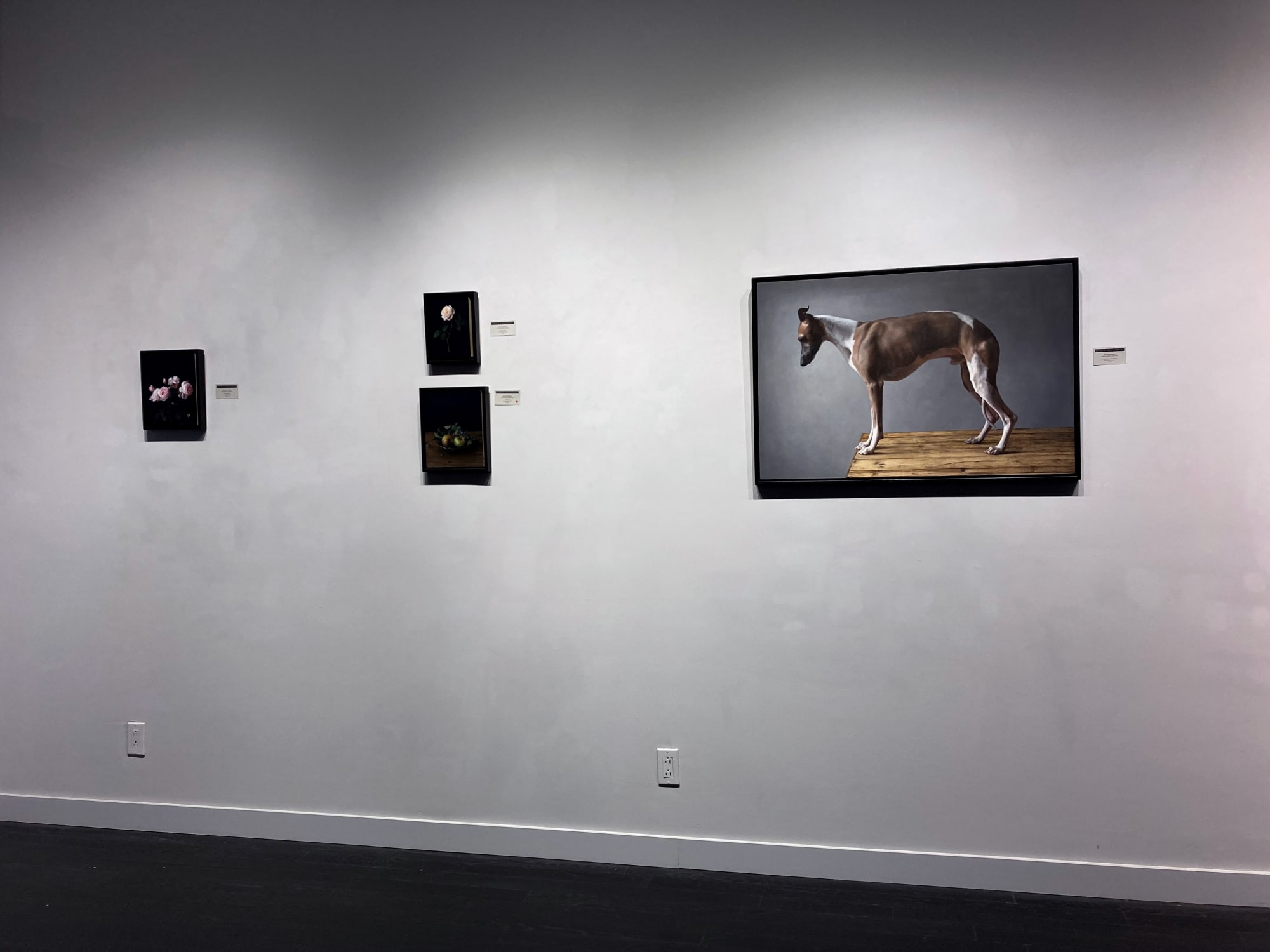 Spotlight Exhibition