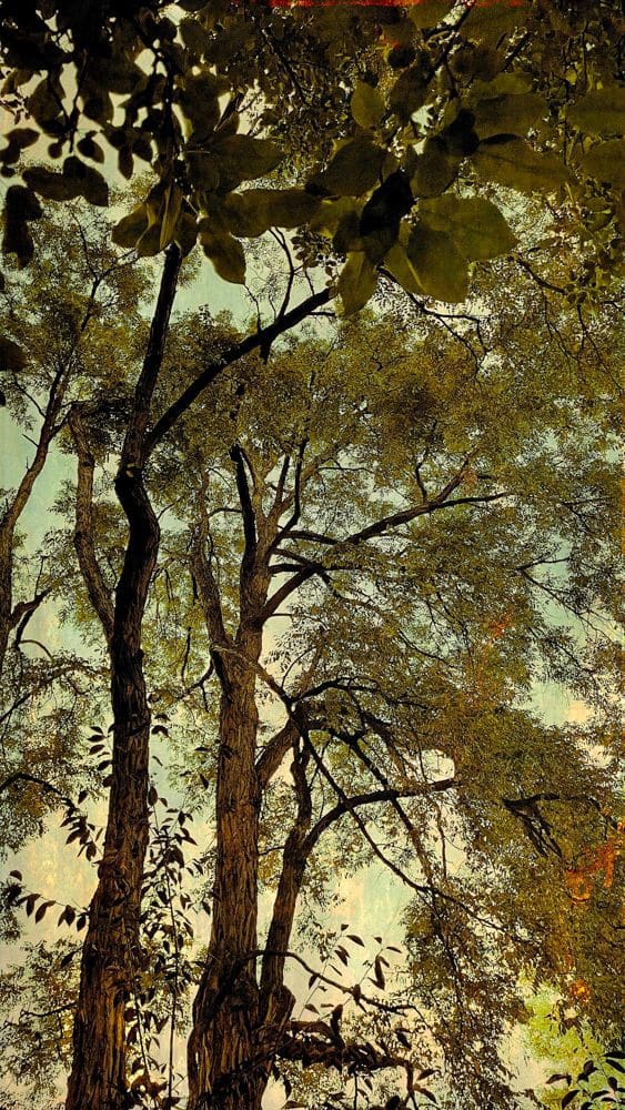 W E N D I S C H E I D E R An End to Endings, 2020 pigment ink on kozo white gold leaf 22 x 17 inches