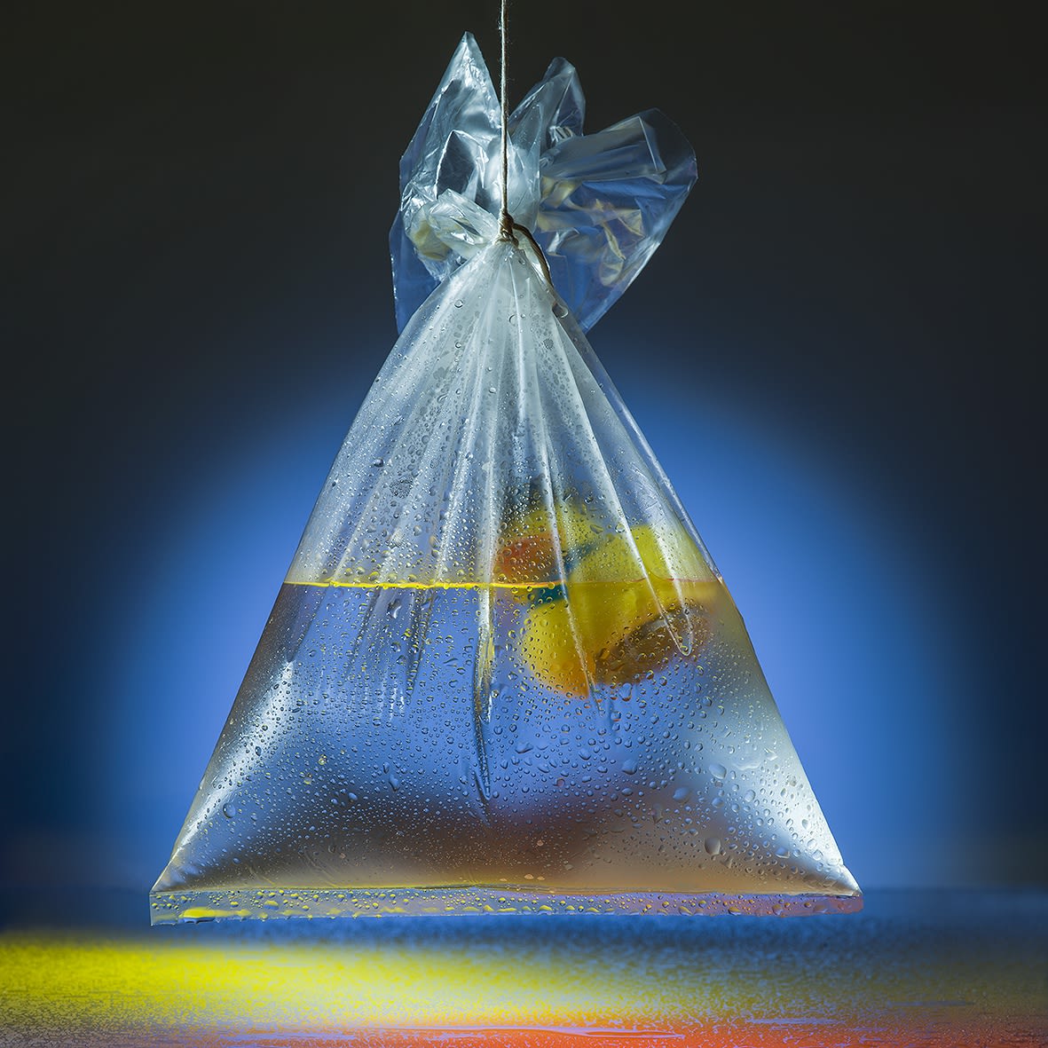 Andreas Botzian Müll Wasser, 2019