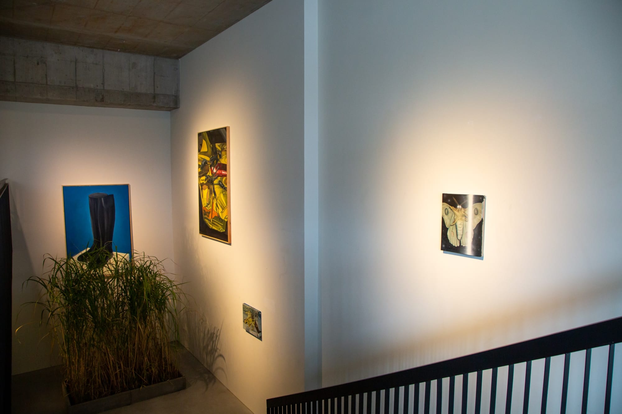 Walking in the High Grass