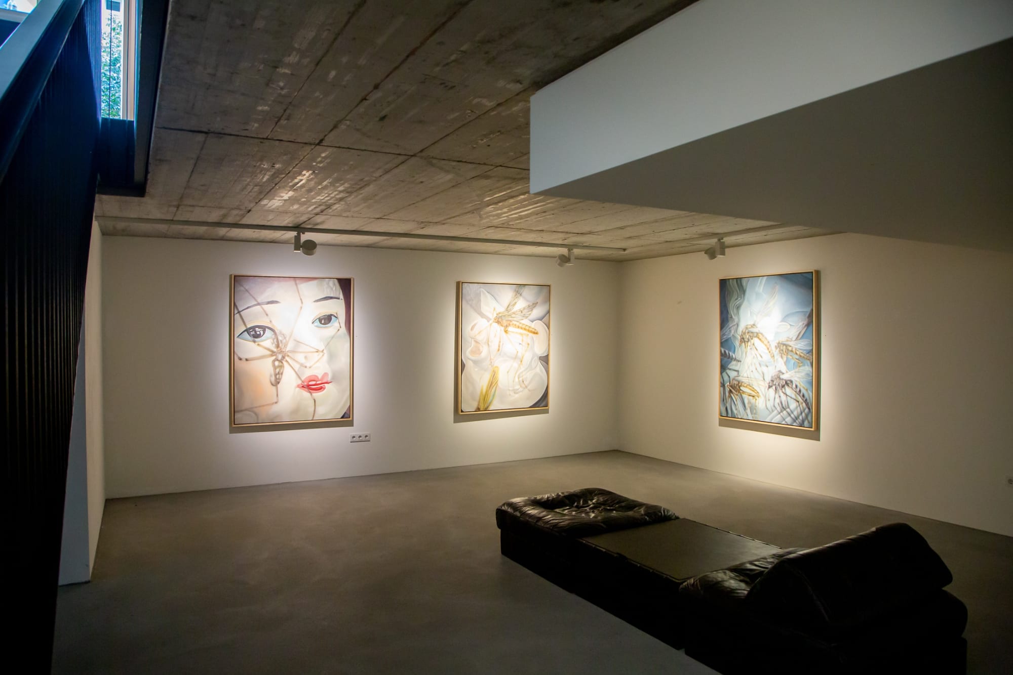 Walking in the High Grass