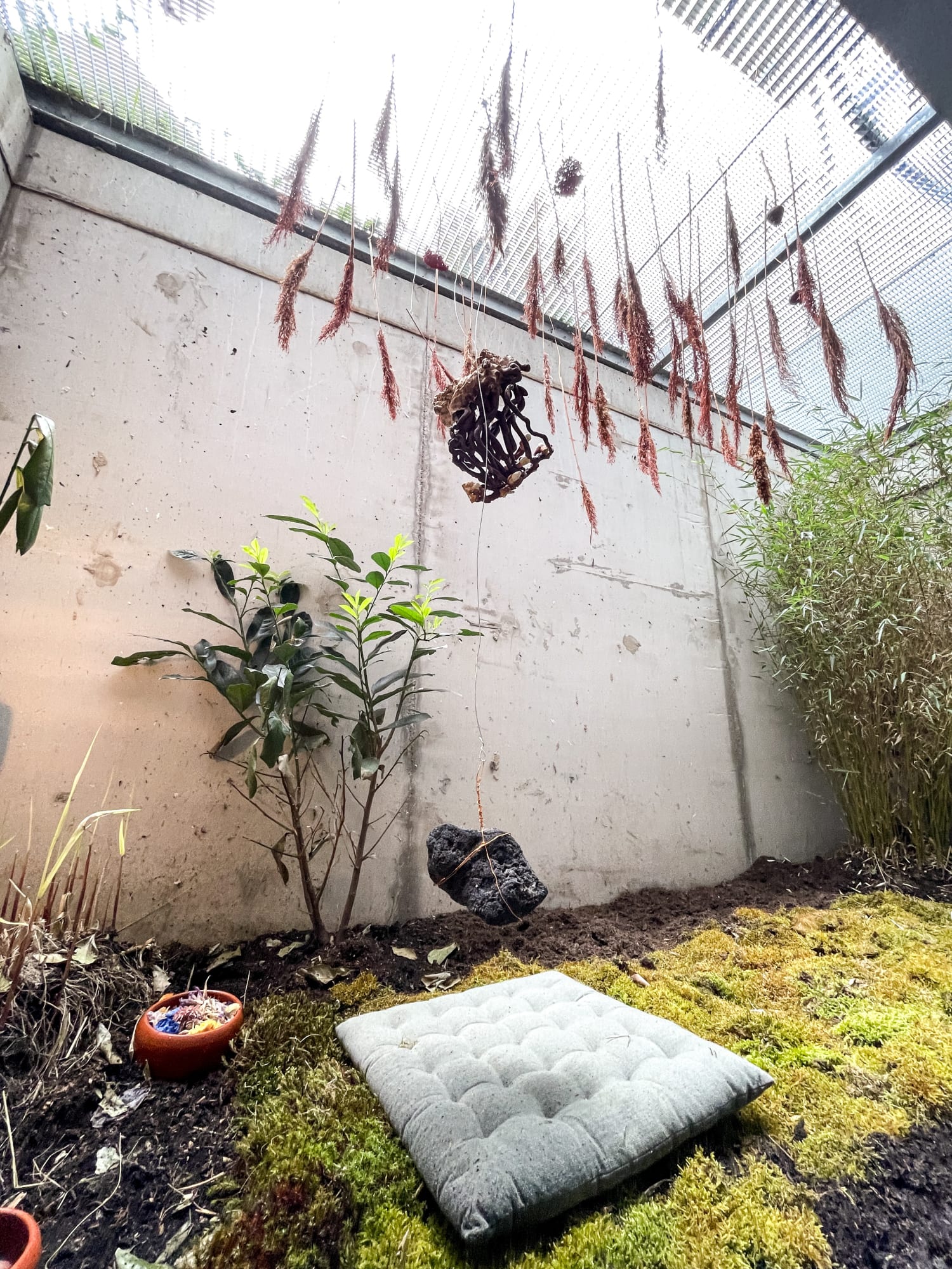 When the silent song rises