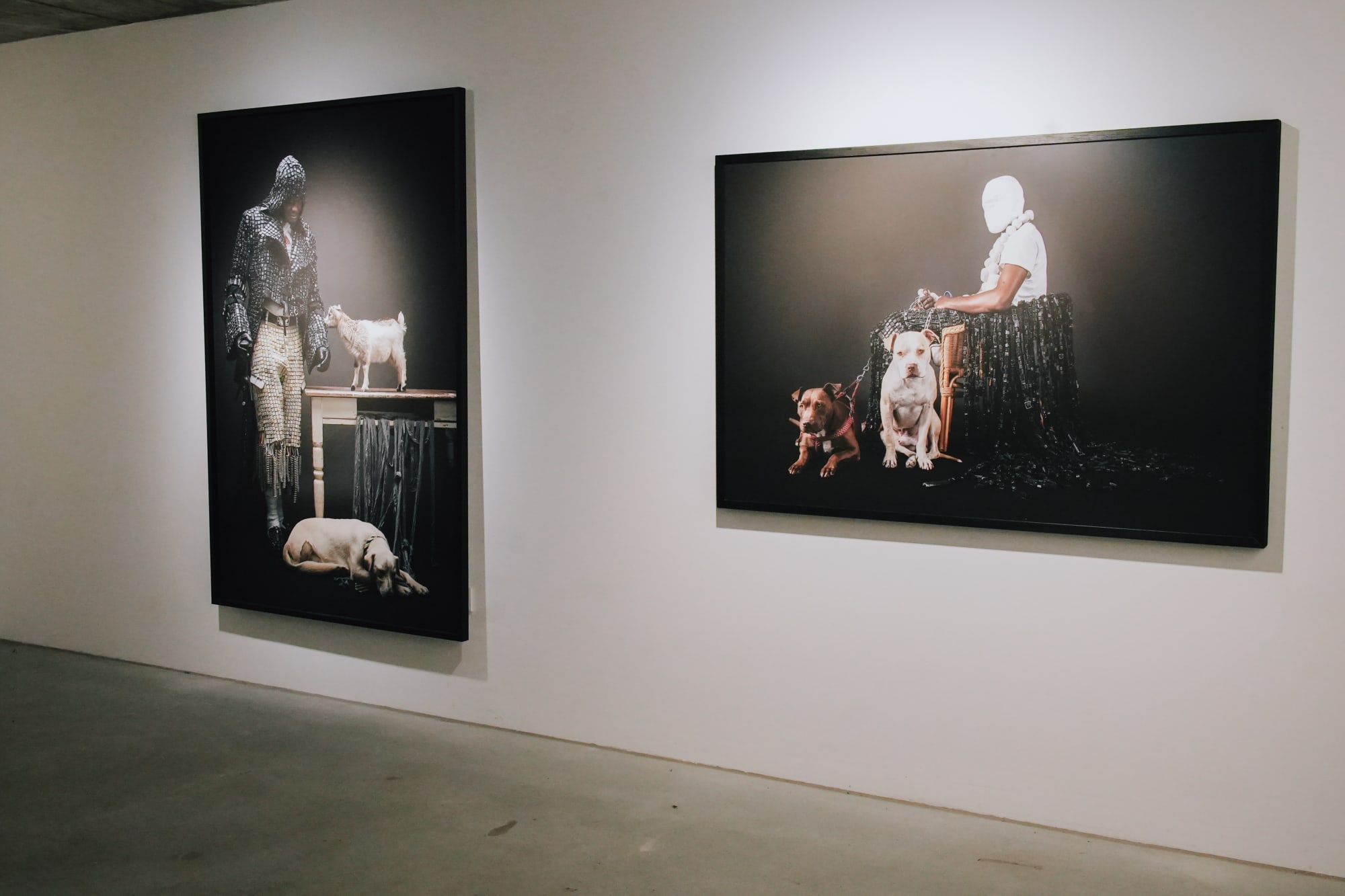 FeEd Me NoT ≠ FeEd Me NoT