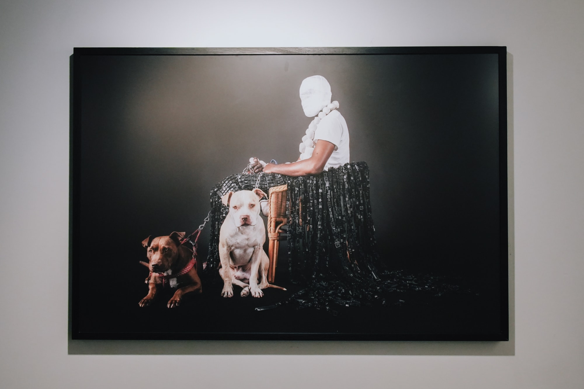 FeEd Me NoT ≠ FeEd Me NoT