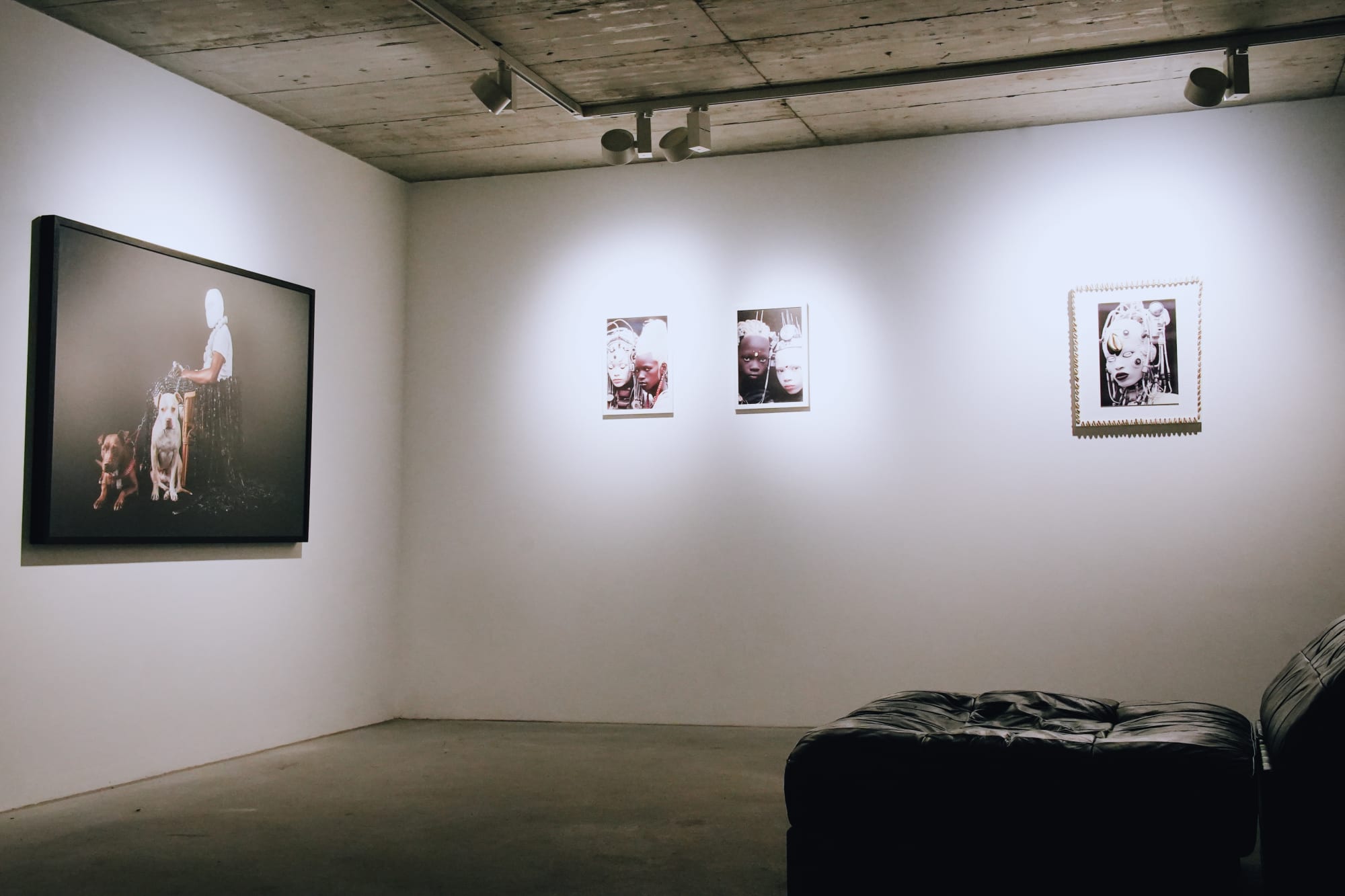 FeEd Me NoT ≠ FeEd Me NoT