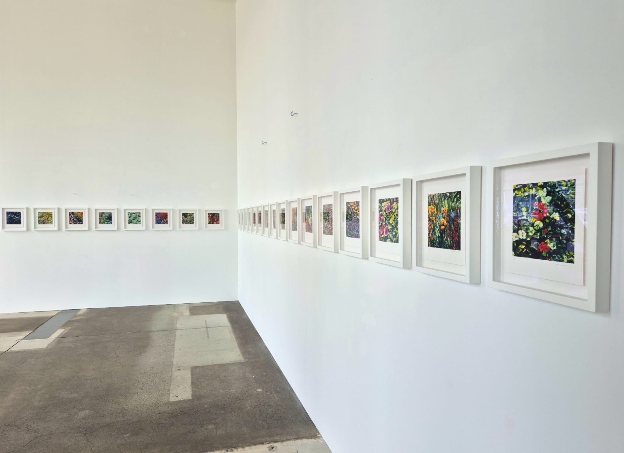 The Joy of Colour - Karl Maughan