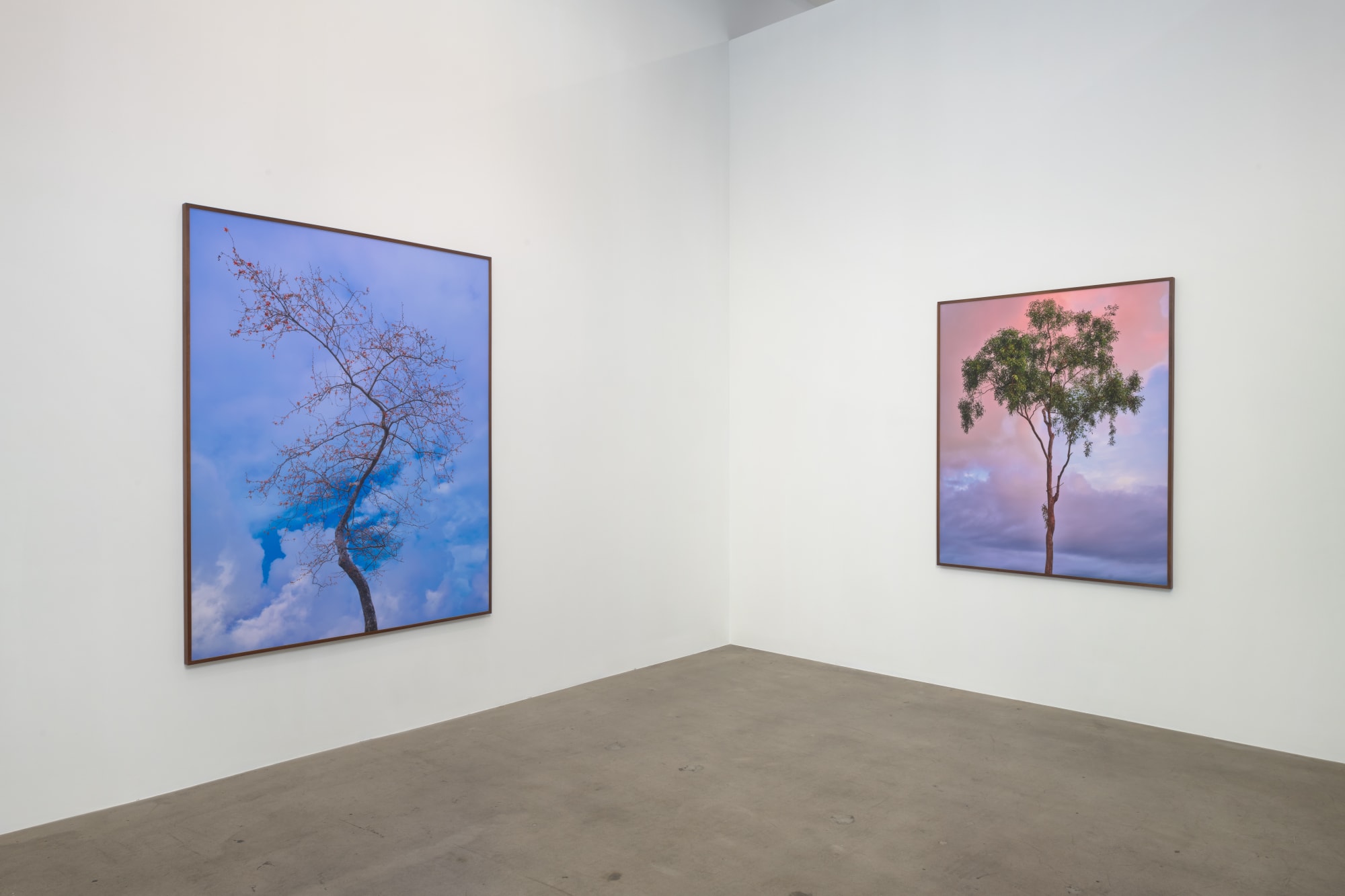 Amir Zaki: Nothing To Say