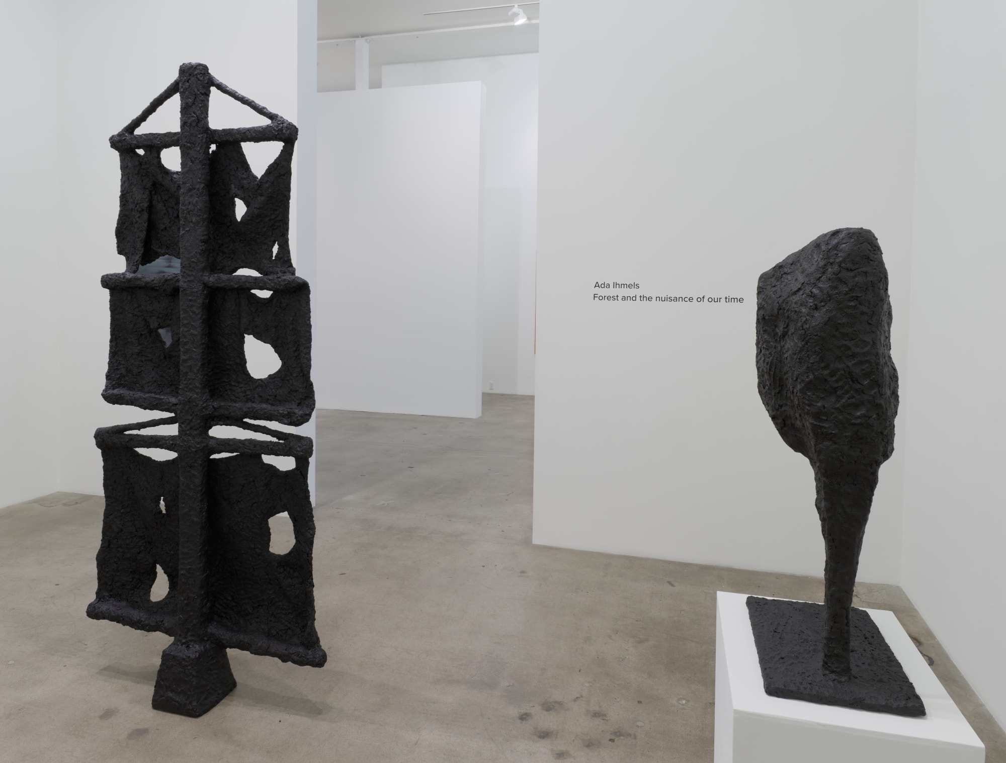 Ada Ihmels: Forest and the nuisance of our time