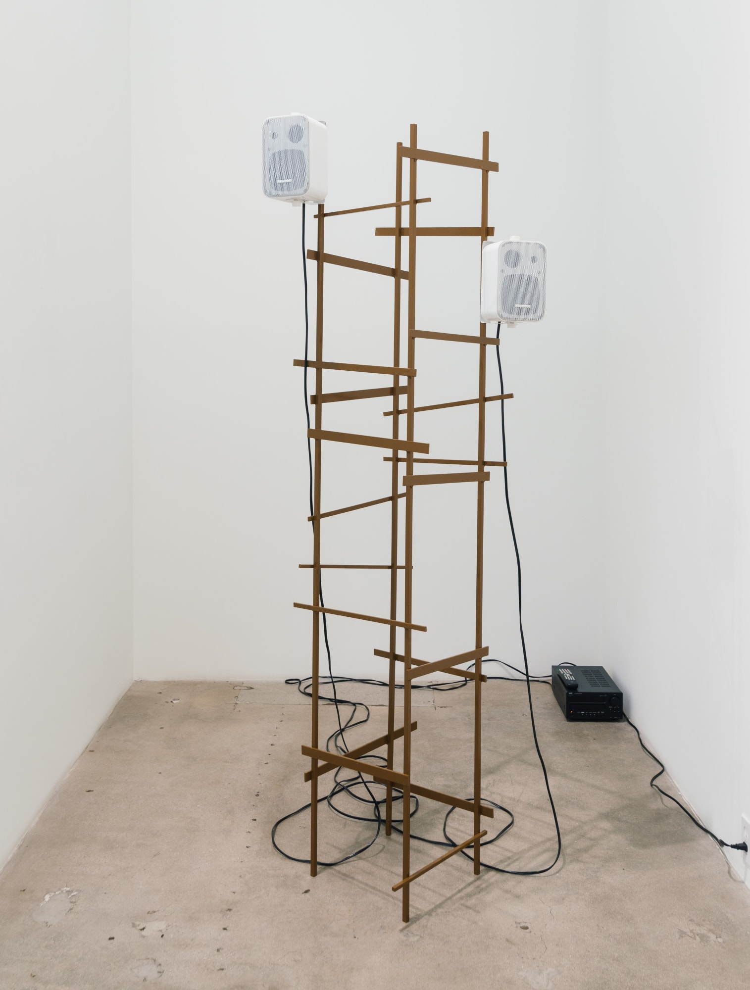 David Schafer: Models of Disorder