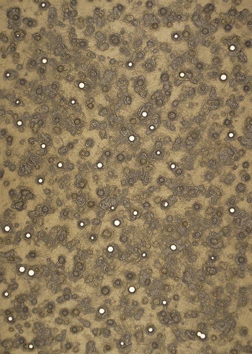 Marco Breuer: Now and a Half