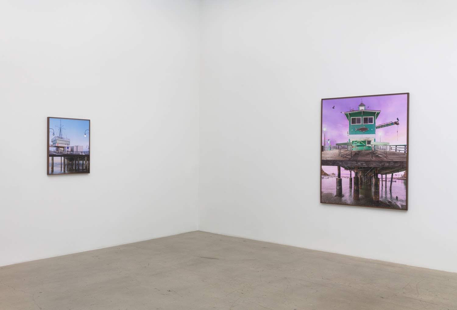 Amir Zaki: On Being Here