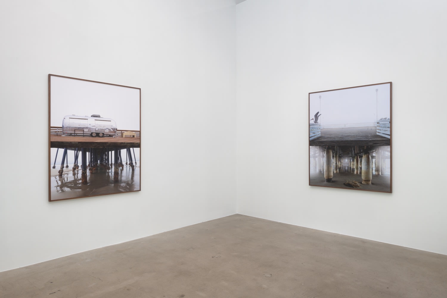 Amir Zaki: On Being Here