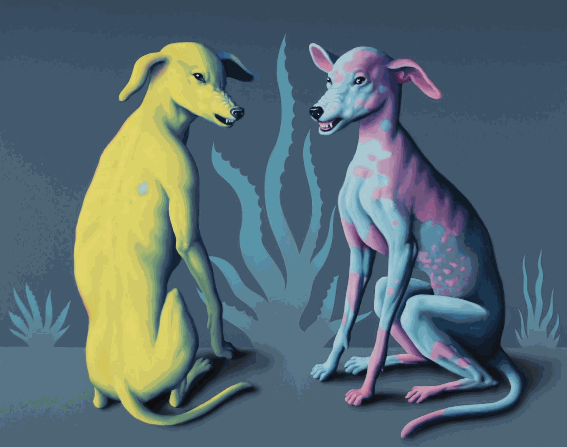 Máté Orr Morzsi And Folti, 2024