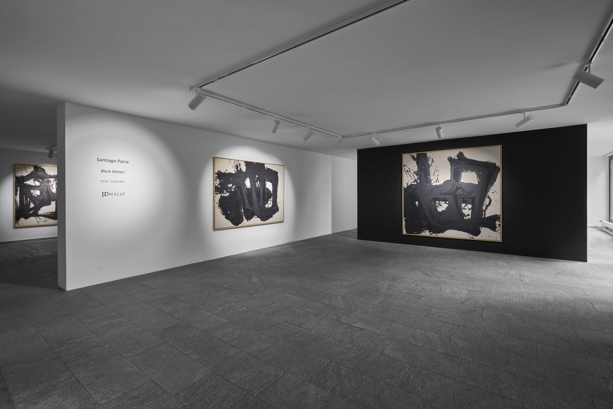Santiago Parra: Black Matter