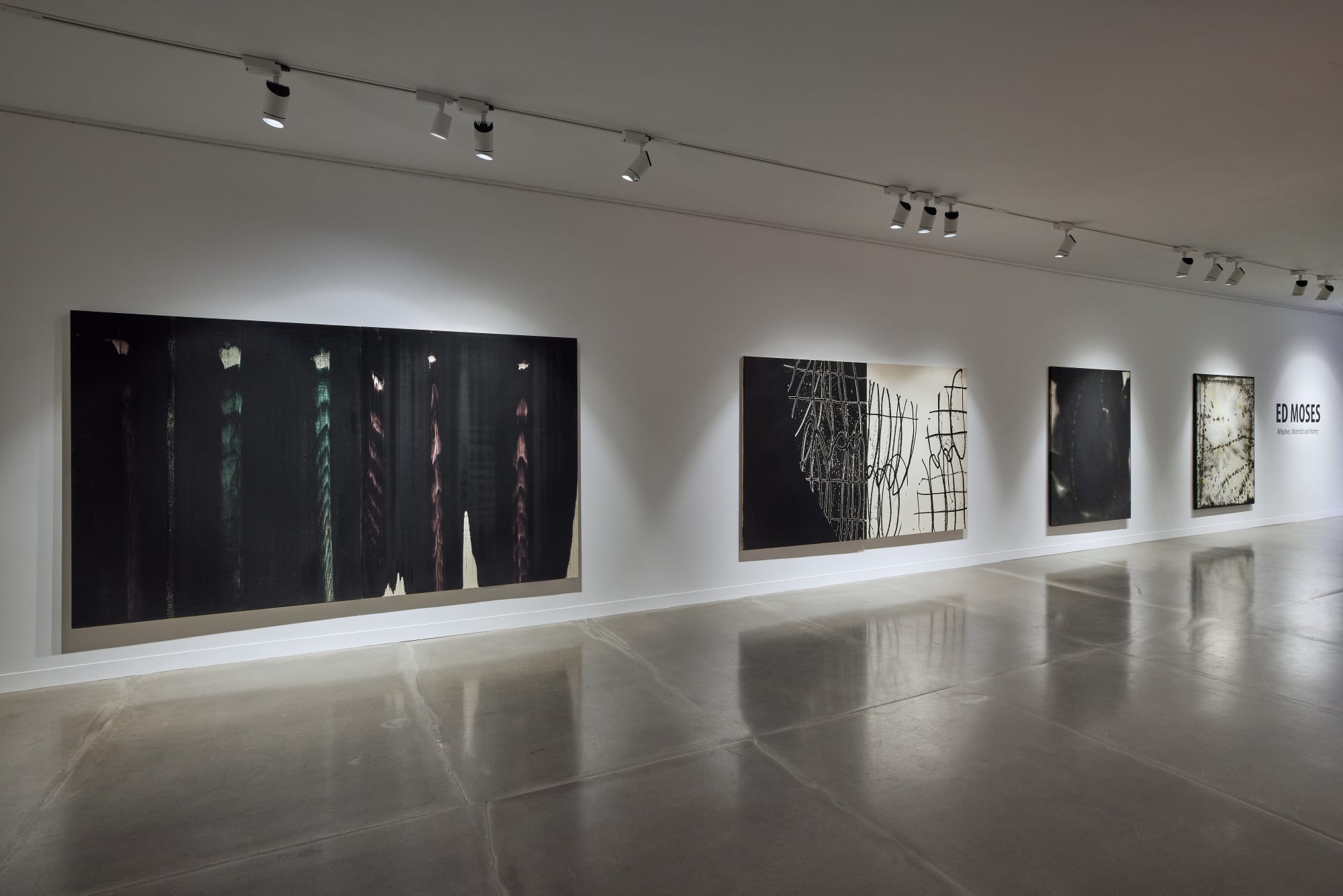 ‘Whiplines, Waterfalls and Worms’, Ed Moses