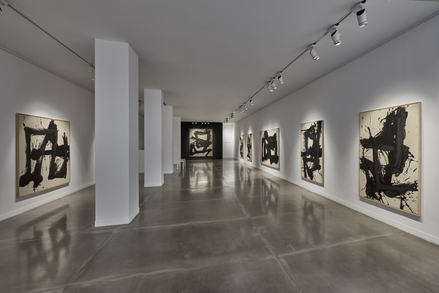 Santiago Parra: Upheaval