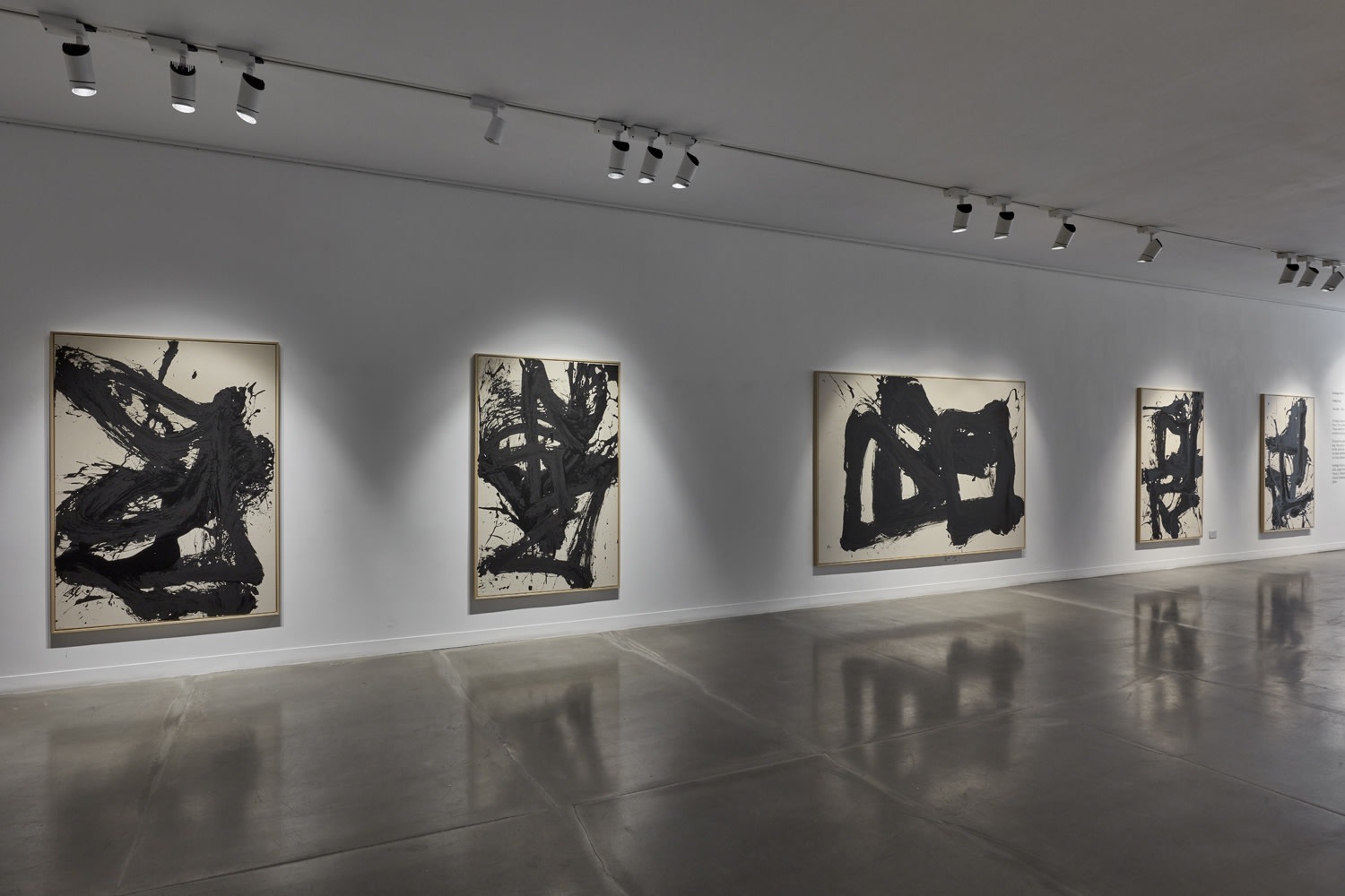 Santiago Parra: Upheaval