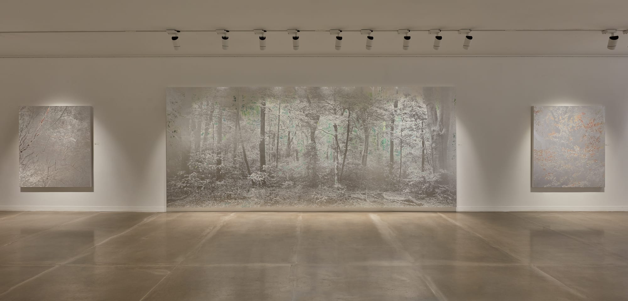 Masayoshi Nojo: Under the Moonlight