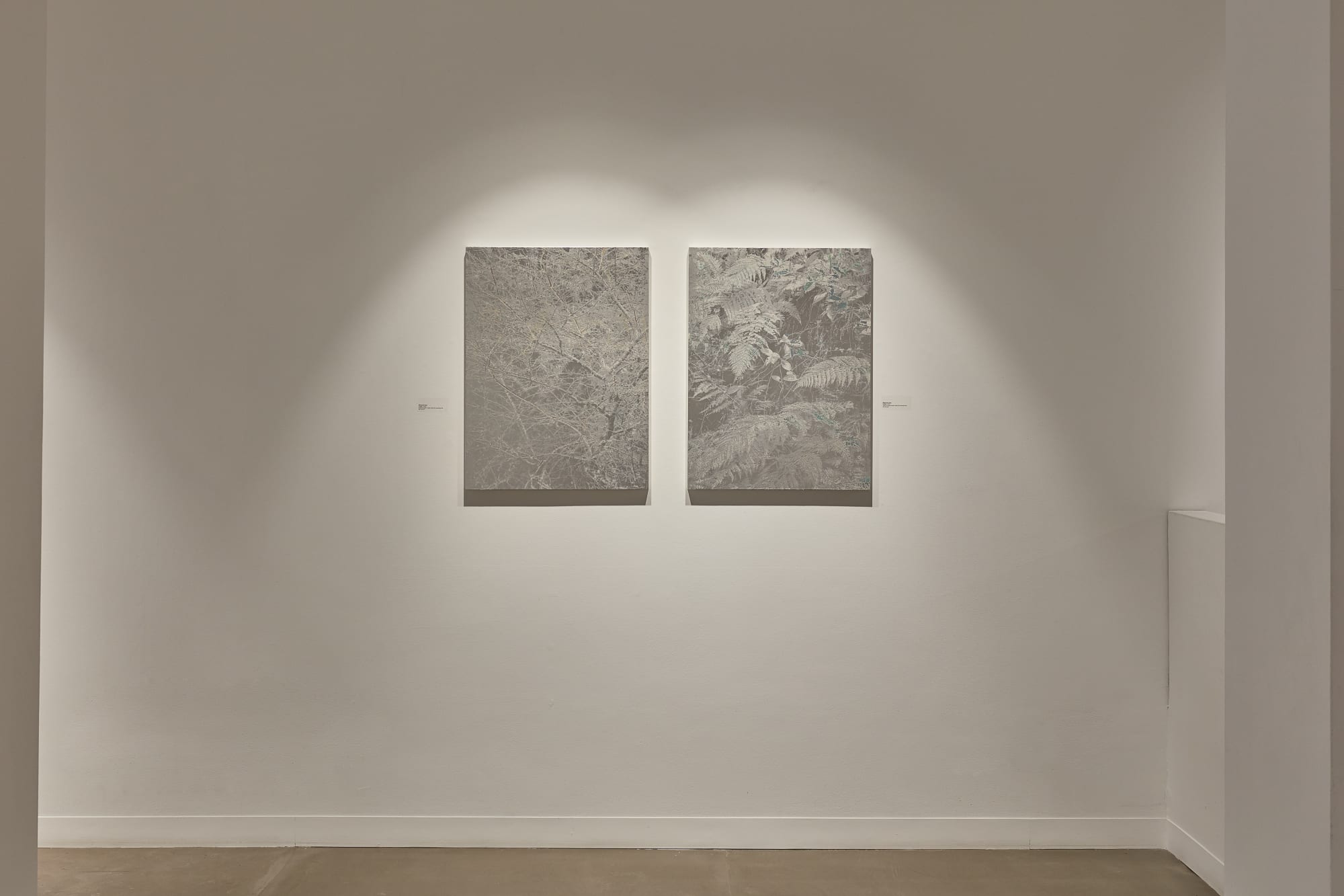 Masayoshi Nojo: Under the Moonlight