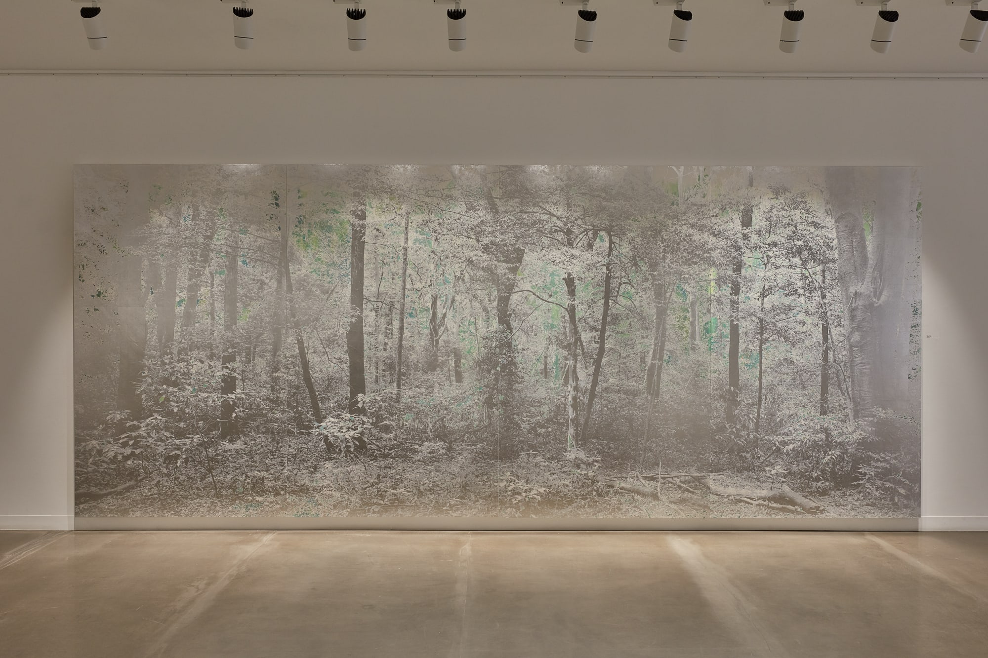 Masayoshi Nojo: Under the Moonlight