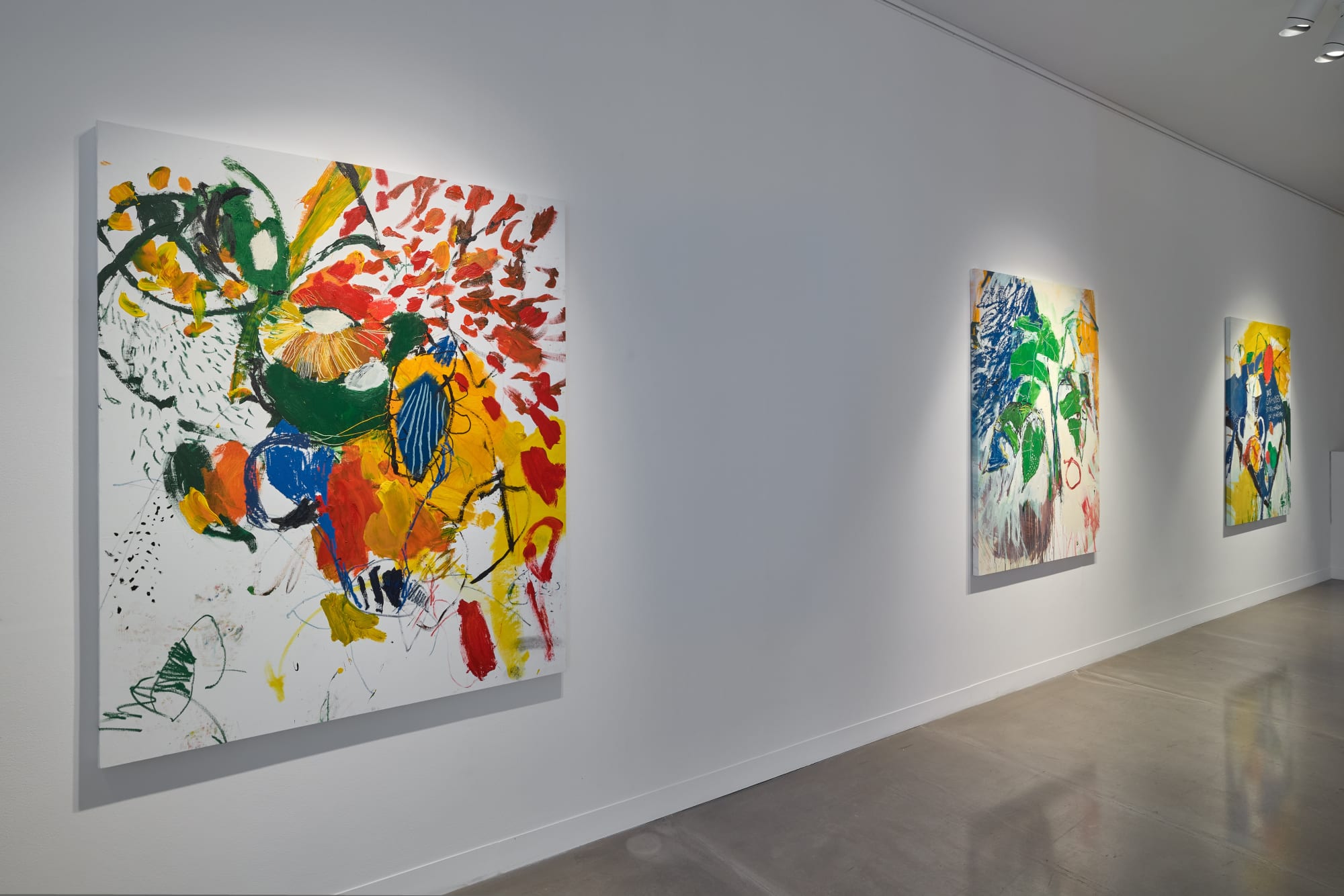 Luis Olaso: The Garden