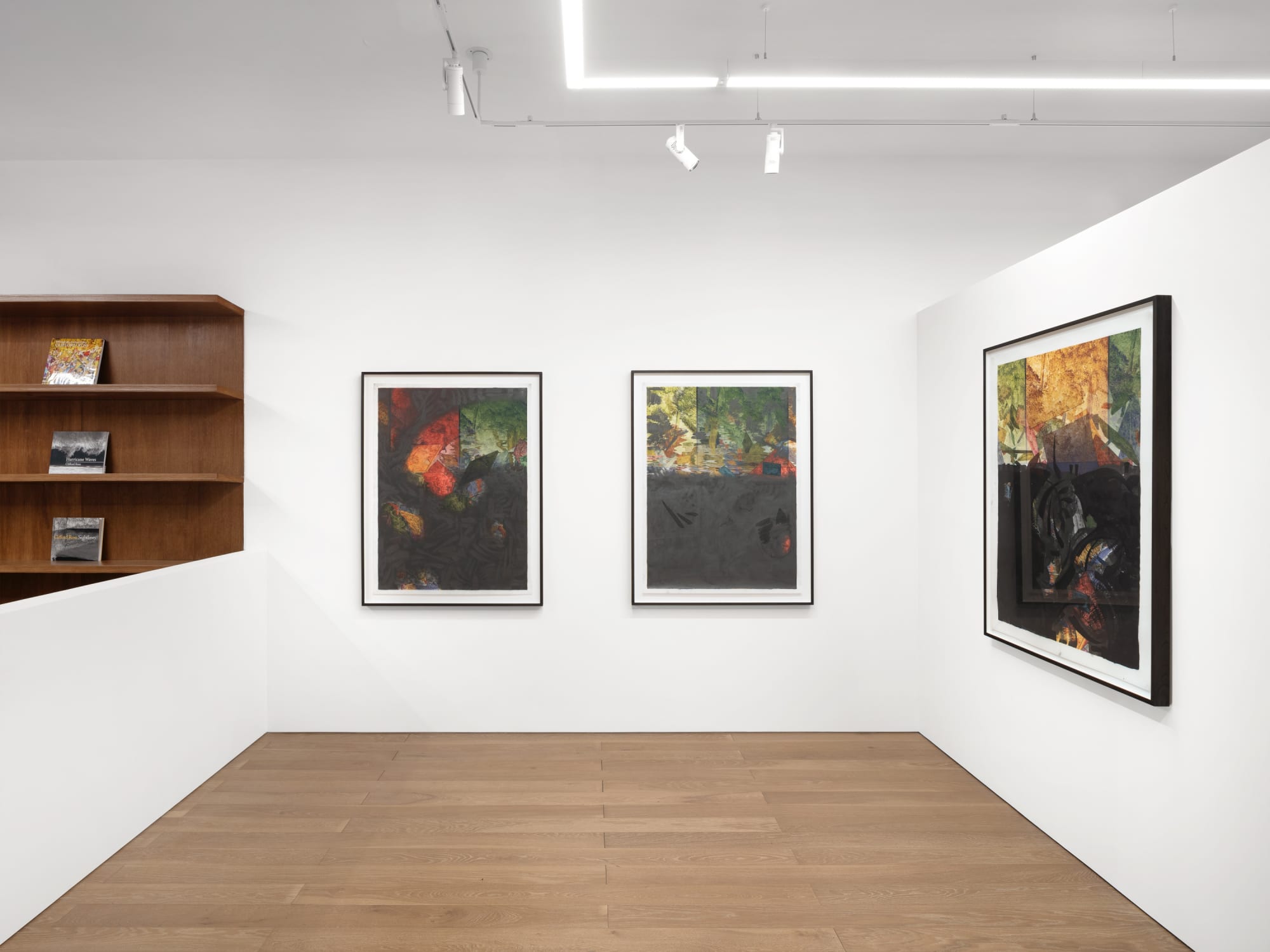 Clifford Ross | What Remains... installation image, photography credit: Olivia Divecchia