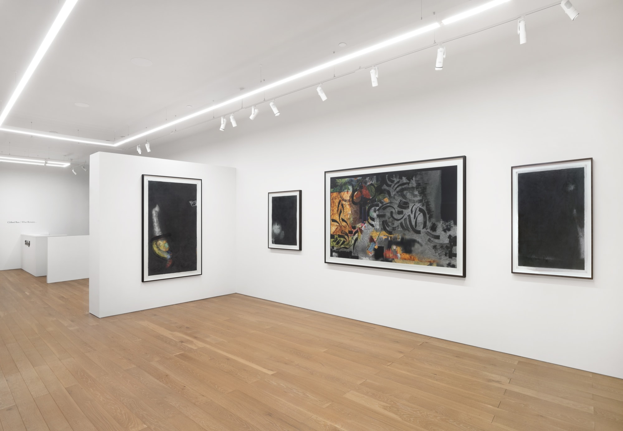 Clifford Ross | What Remains... installation image, photography credit: Olivia Divecchia