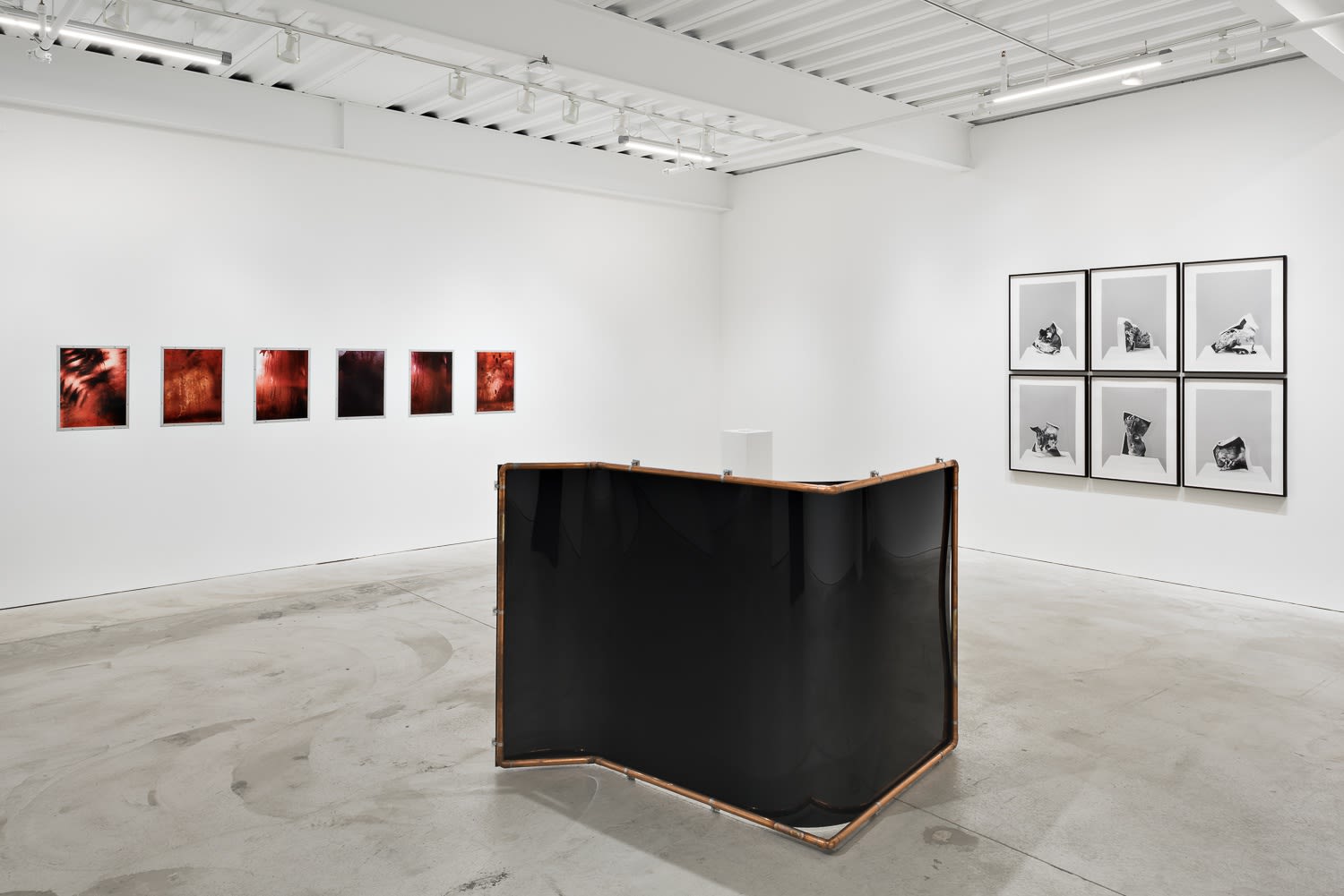 Option to the Death of Freedom