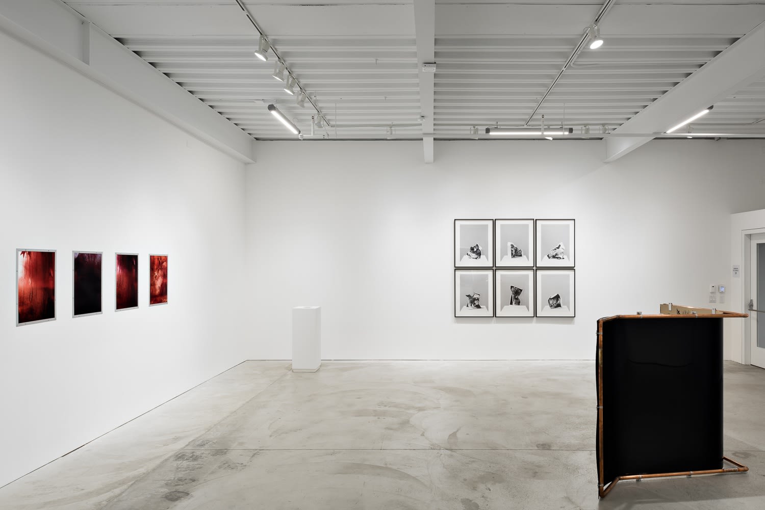 Option to the Death of Freedom