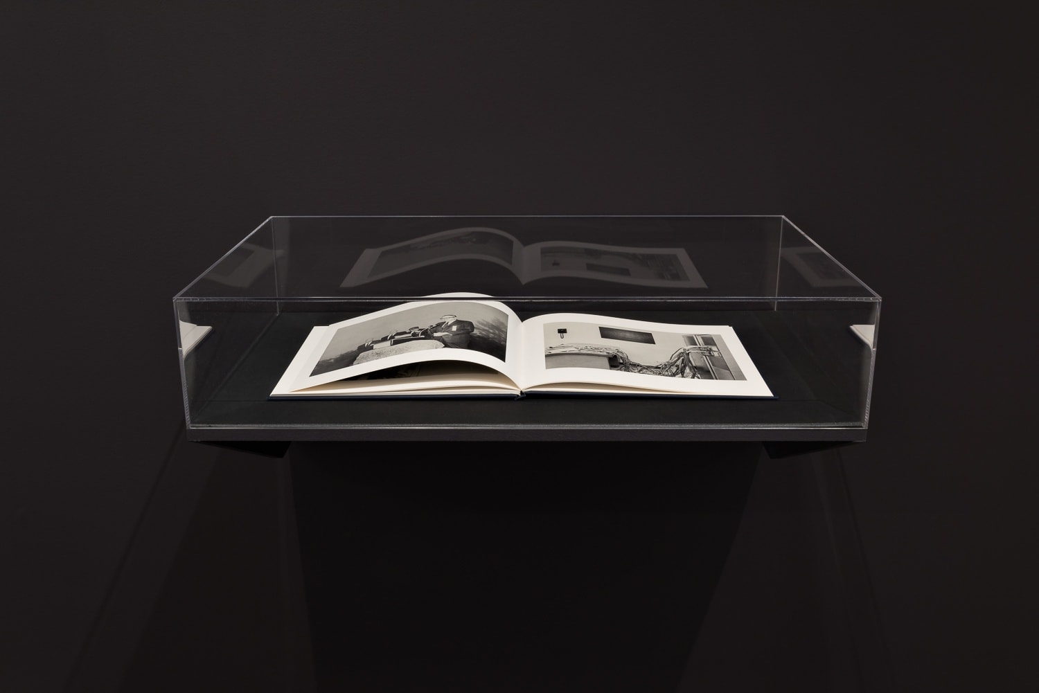 Option to the Death of Freedom