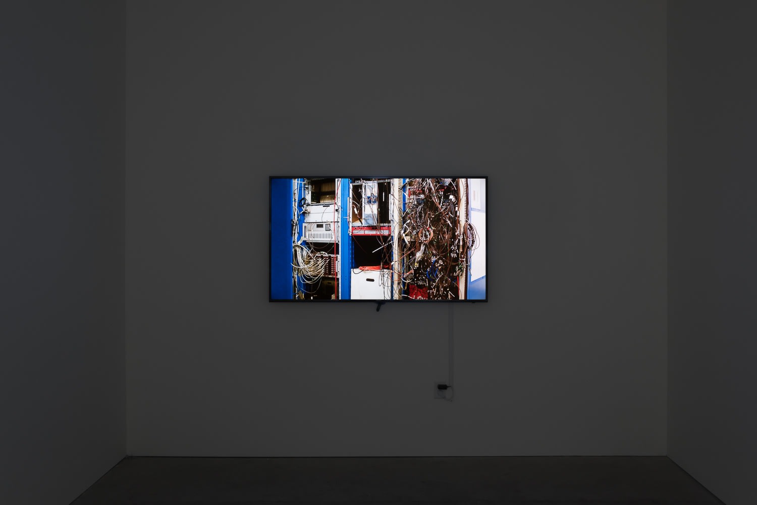 Option to the Death of Freedom