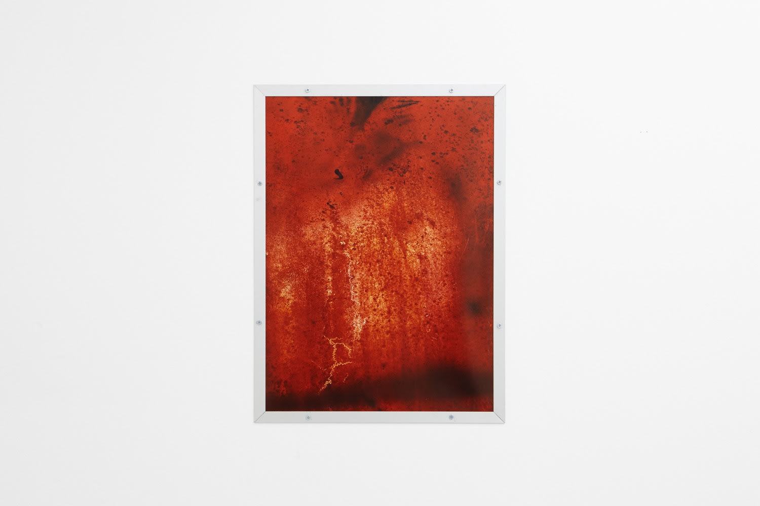 Option to the Death of Freedom