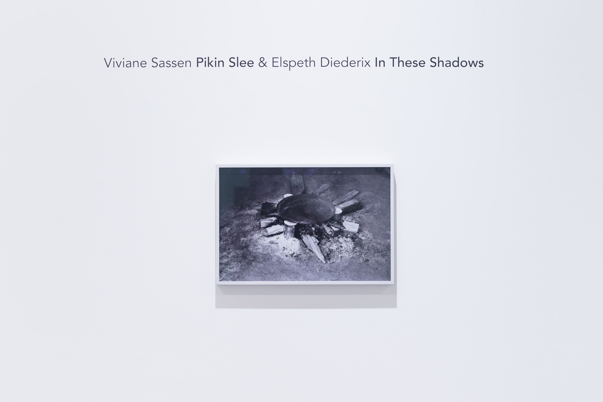 Viviane Sassen Pikin Slee & Elspeth Diederix In These Shadows