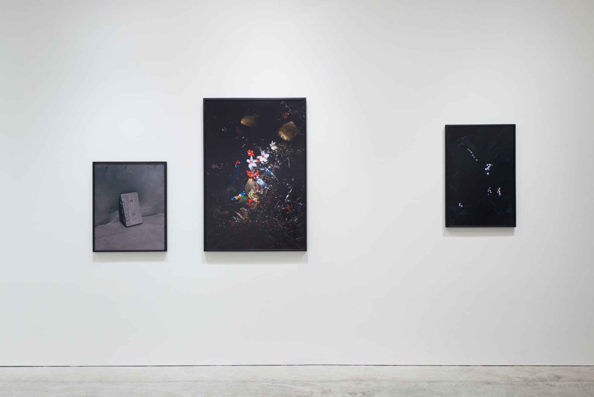 Viviane Sassen Pikin Slee & Elspeth Diederix In These Shadows