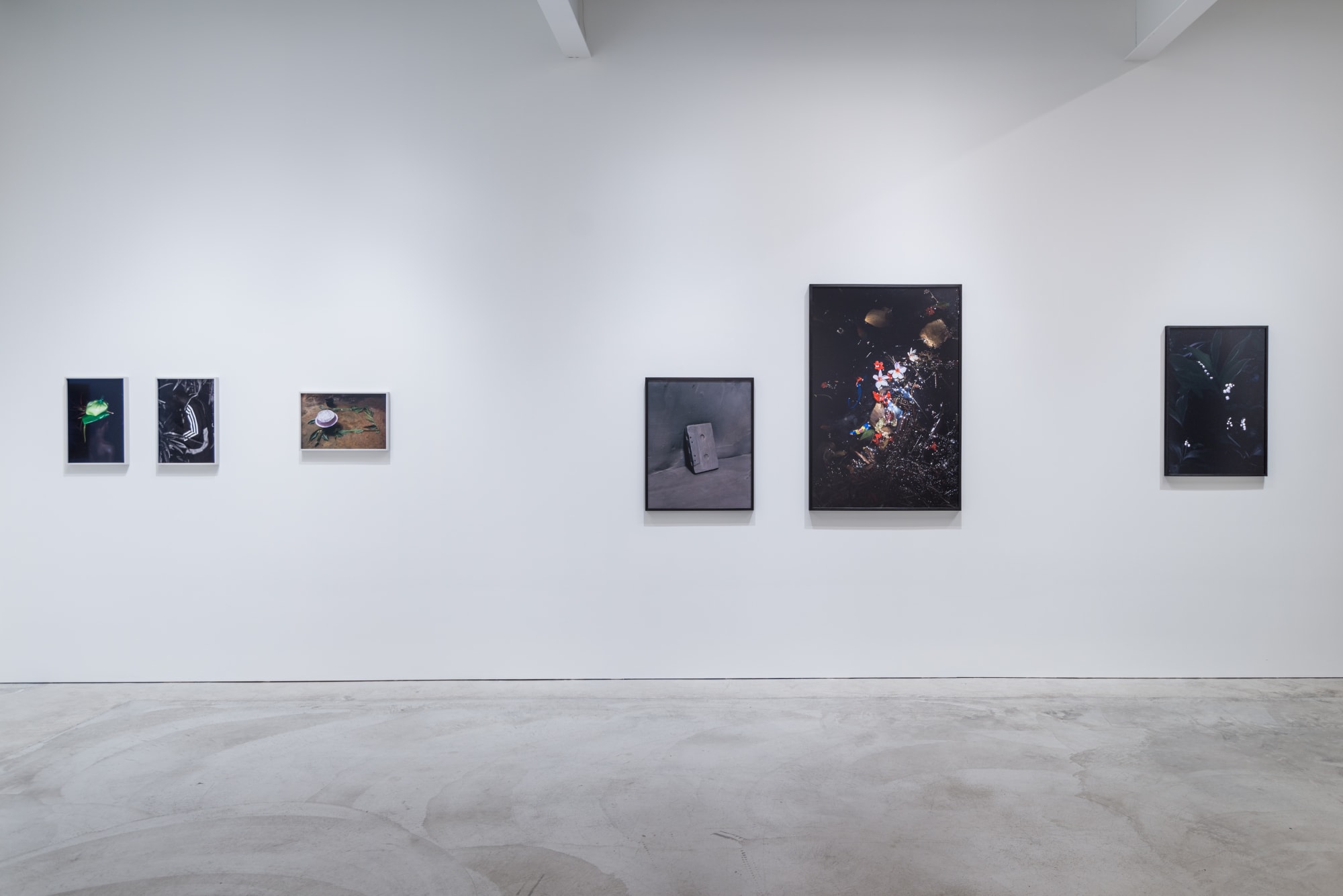 Viviane Sassen Pikin Slee & Elspeth Diederix In These Shadows